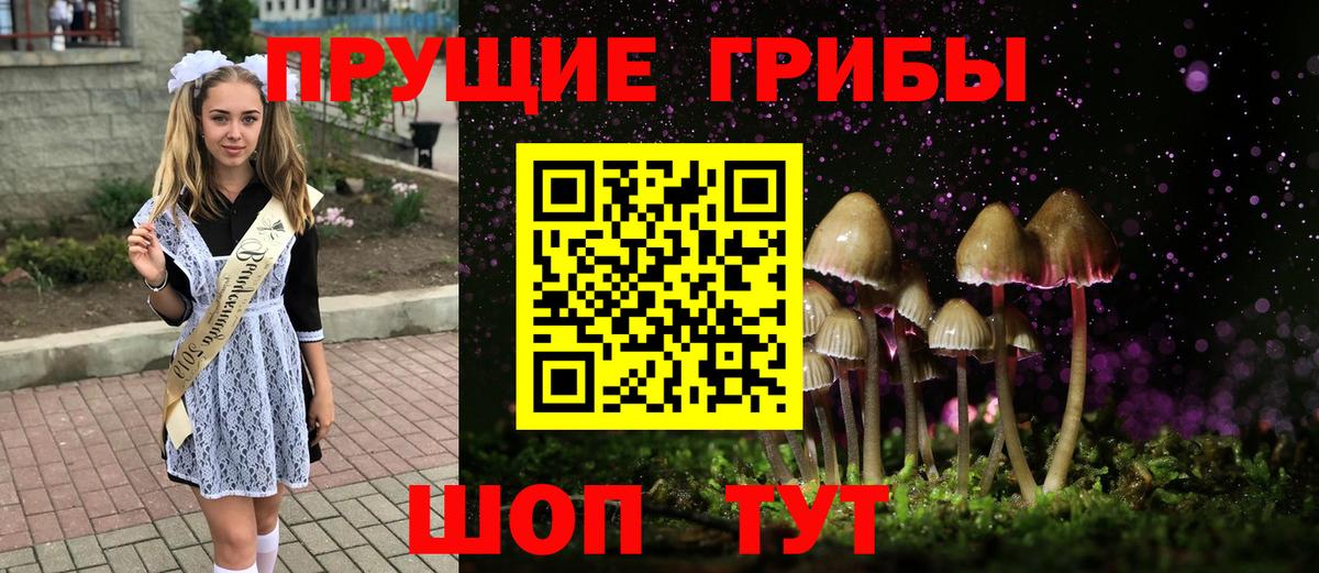 Галлюциногенные грибы Magic Shrooms  Галлюциногенные грибы Psilocybine cubensis  Вход с VPN  Гусев 